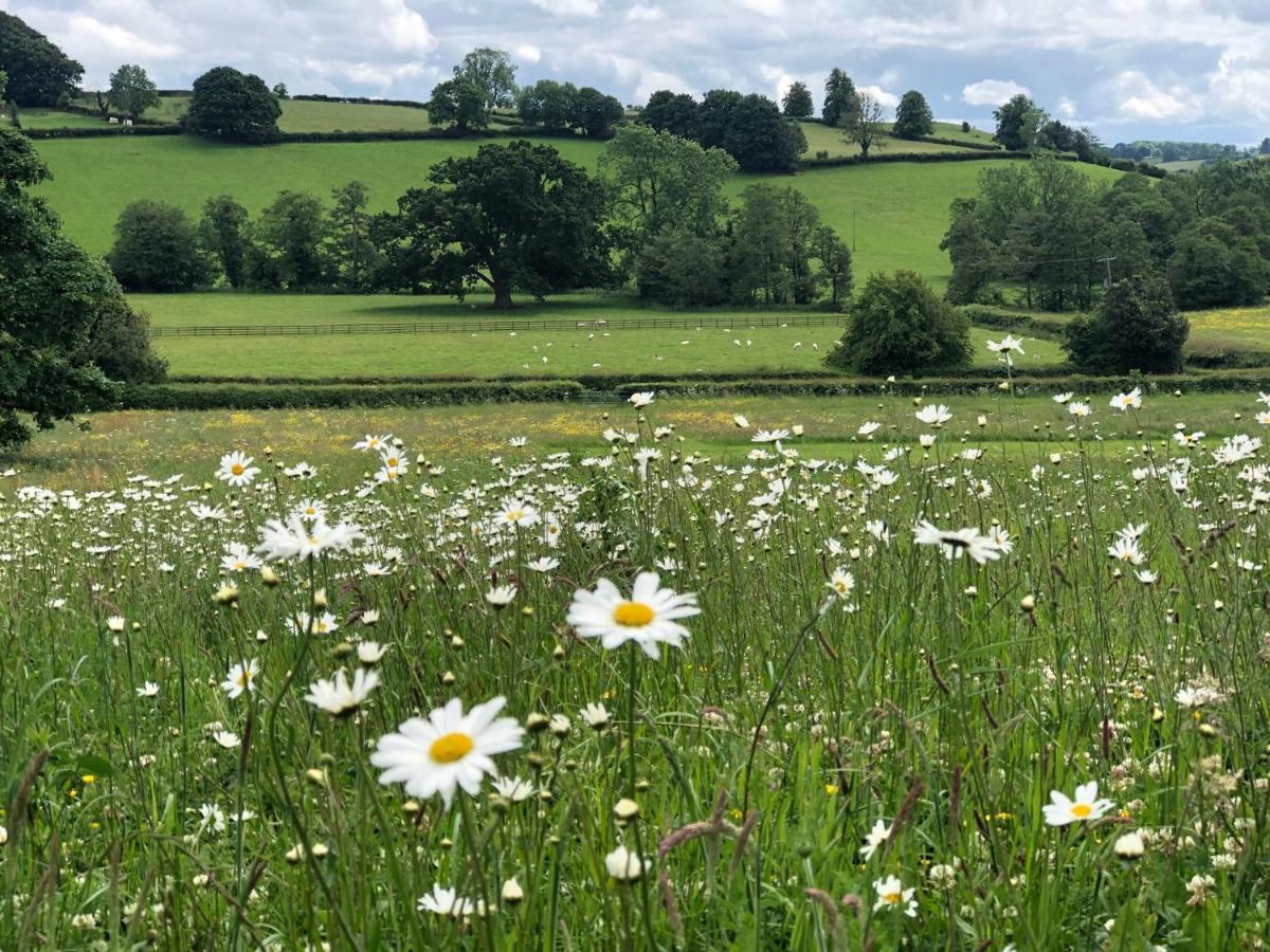 Wildhive Callow Hall Hotel Ashbourne  Buitenkant foto